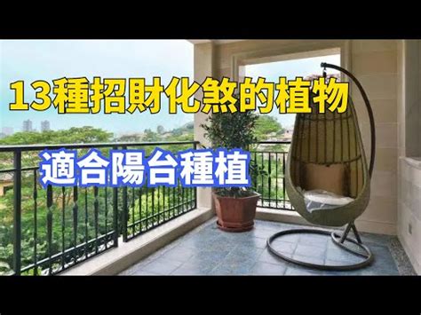 陽台種百香果風水|陽台植物風水指南：打造生機勃勃、招財納福的綠色天。